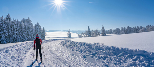 Skilanglauf Skilanglauf